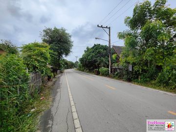 Land for sale in Pa Daet, Chiang Mai. near the 3rd Ring Road, Size 5 rai 112 sq.wa. Price 18,000/ sq wa Total 38 million