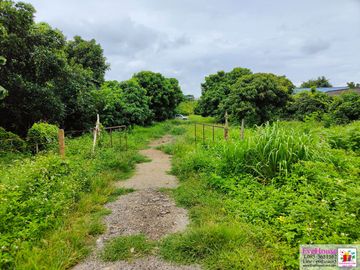 Land for sale in Pa Daet, Chiang Mai. near the 3rd Ring Road, Size 5 rai 112 sq.wa. Price 18,000/ sq wa Total 38 million