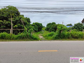 Land for sale in Pa Daet, Chiang Mai. near the 3rd Ring Road, Size 5 rai 112 sq.wa. Price 18,000/ sq wa Total 38 million