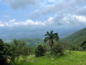 FINCA EN MELGAR