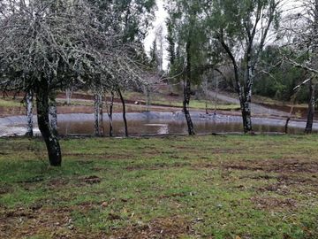 Parque Nativo A 30 Min De Villarrica Y A 20 Min De Loncoche