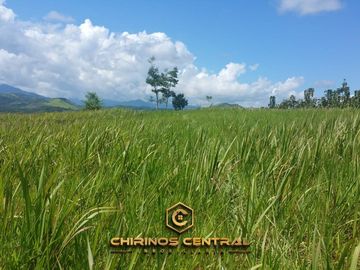 Se Vende Terreno en Tarapoto/para Casa Campo/ 1200 m²