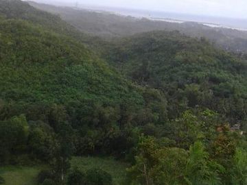 For sale yuta data-data sa danao Cebu barato lang ni for investment