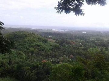 For sale yuta data-data sa danao Cebu barato lang ni for investment