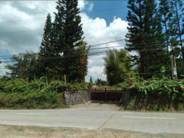 37,000sqm Agricultural Farm Lot with Residential and Warehouse Buildings For Sale in Calamba Laguna