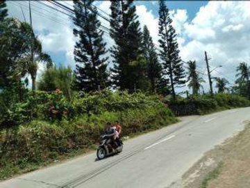 37,000sqm Agricultural Farm Lot with Residential and Warehouse Buildings For Sale in Calamba Laguna