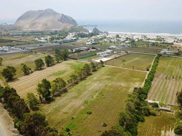 Oportunidad de inversión: Terreno de 56,000m2 en ubicación estratégica en la Panamericana Sur, Totoritas, Mala, Cañete
