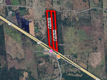HECTÁREAS EN VENTA CARRETERA LA TINAJA SAYULA | ARLETTE FLORES