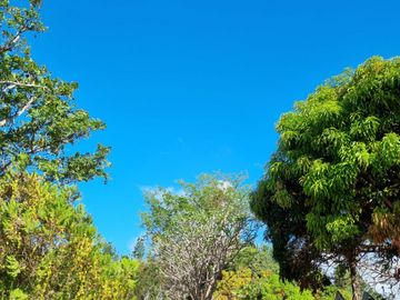 Finca en Las Margaritas, Coclé