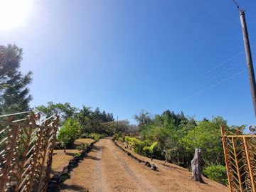 Finca en Las Margaritas, Coclé