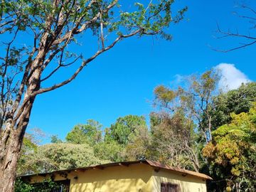 Finca en Las Margaritas, Coclé