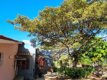 Finca en Las Margaritas, Coclé