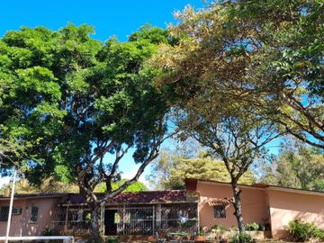 Finca en Las Margaritas, Coclé