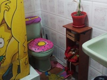 VENDO HERMOSA CASA RENTABLE B SANTA LUICIA BOGOTA