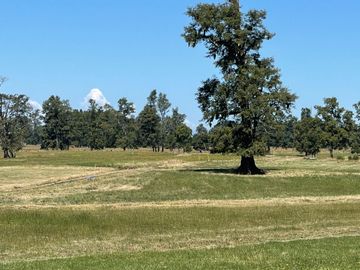 Vendo Parcelas Loteo El Estero A 18 Kms De Osorno