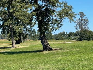 Vendo Parcelas Loteo El Estero A 18 Kms De Osorno
