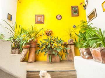 Preciosa casa de Lujo en Valle de Bravo, del lado del Santuario