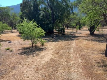 Vendo terreno en Melipilla 2 Hectáreas y media