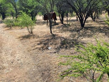 Vendo terreno en Melipilla 2 Hectáreas y media