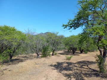 Vendo terreno en Melipilla 2 Hectáreas y media