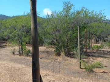 Vendo terreno en Melipilla 2 Hectáreas y media