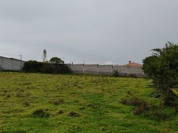 Terreno de Venta 2.000 M2, Alangasi, La Merced, 9 9 9 0 1 0 2 3 2