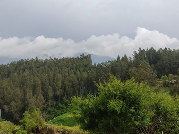 Terreno de Venta 2.000 M2, Alangasi, La Merced, 9 9 9 0 1 0 2 3 2