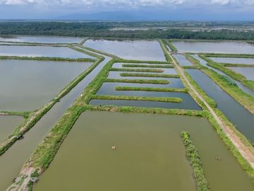 N14 - Camaronera en Venta 165 hectáreas en Guayas