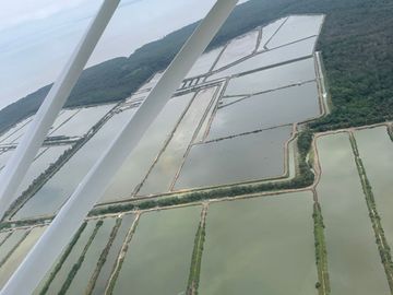 N14 - Camaronera en Venta 165 hectáreas en Guayas