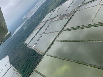 N14 - Camaronera en Venta 165 hectáreas en Guayas