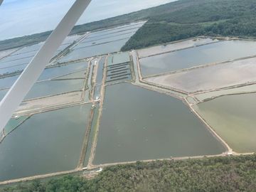 N14 - Camaronera en Venta 165 hectáreas en Guayas
