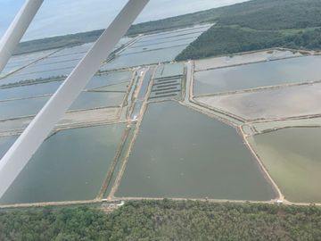 N14 - Camaronera en Venta 165 hectáreas en Guayas