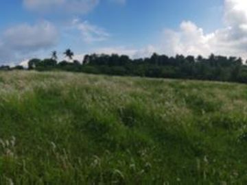 1 Vacant lot in Barangay Tolentino, Tagaytay City