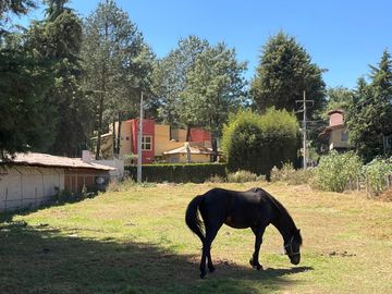 TERRENO PLANO EN VENTA, ACATITLAN
