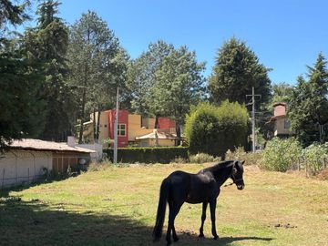 TERRENO PLANO EN VENTA, ACATITLAN