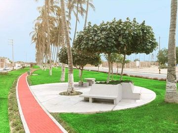 GRAN VENTA DE TERRENO URB. LAS PALMERAS- CENTENARIO, CASTILLA