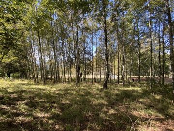 Z O N A S U R . C L En venta Parcela de 5.000 m2. Ubicada en condominio a minutos de Villarrica