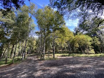 Z O N A S U R . C L En venta Parcela de 5.000 m2. Ubicada en condominio a minutos de Villarrica