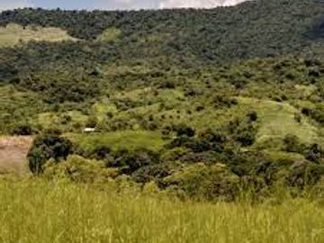 Agricultural Lot for Sale in Brgy. Kabayunan, DRT, Bulacan - LA19HA