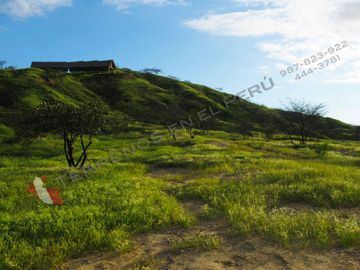 Terrenos en Mancora – 54 Has Vista Panoramica