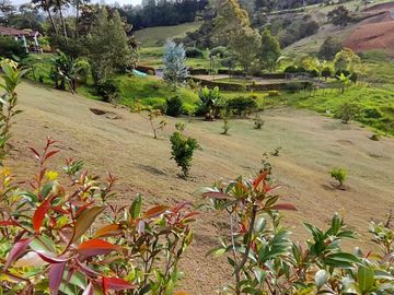 FINCA EN VENTA - SAN ANTONIO DE PEREIRA SECTOR PARQUE TECNOLÓGICO