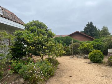 Casa 7 dorm, sitio con jardín y terraza, Pingueral. Tome