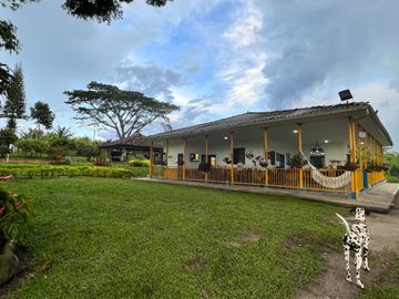 Se vende finca cafetera en Quimbaya Quindío