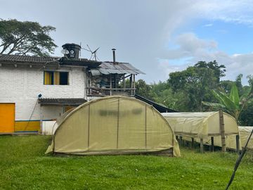 Se vende finca cafetera en Quimbaya Quindío