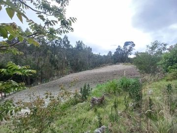 QUINTA CON PISCINA EN VENTA, DE UNA HECTAREA DE TERRENO, Sector: Guarangos Grande, Azogues