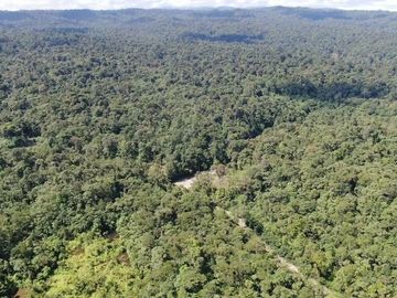 VENTA HACIENDA CON BOSQUE PRIMARIO DENSO ESMERALDAS - SAN LORENZO SECTOR LA CAROLINA  6.586HA $3'800.000 DÓLARES