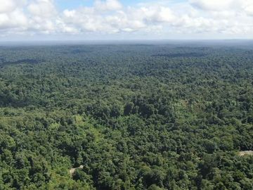 VENTA HACIENDA CON BOSQUE PRIMARIO DENSO ESMERALDAS - SAN LORENZO SECTOR LA CAROLINA  6.586HA $3'800.000 DÓLARES