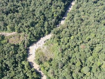 VENTA HACIENDA CON BOSQUE PRIMARIO DENSO ESMERALDAS - SAN LORENZO SECTOR LA CAROLINA  6.586HA $3'800.000 DÓLARES