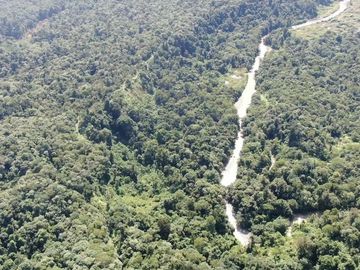 VENTA HACIENDA CON BOSQUE PRIMARIO DENSO ESMERALDAS - SAN LORENZO SECTOR LA CAROLINA  6.586HA $3'800.000 DÓLARES