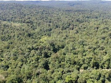 VENTA HACIENDA CON BOSQUE PRIMARIO DENSO ESMERALDAS - SAN LORENZO SECTOR LA CAROLINA  6.586HA $3'800.000 DÓLARES